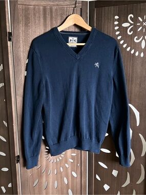 Express Men's Navy V-Neck Sweater